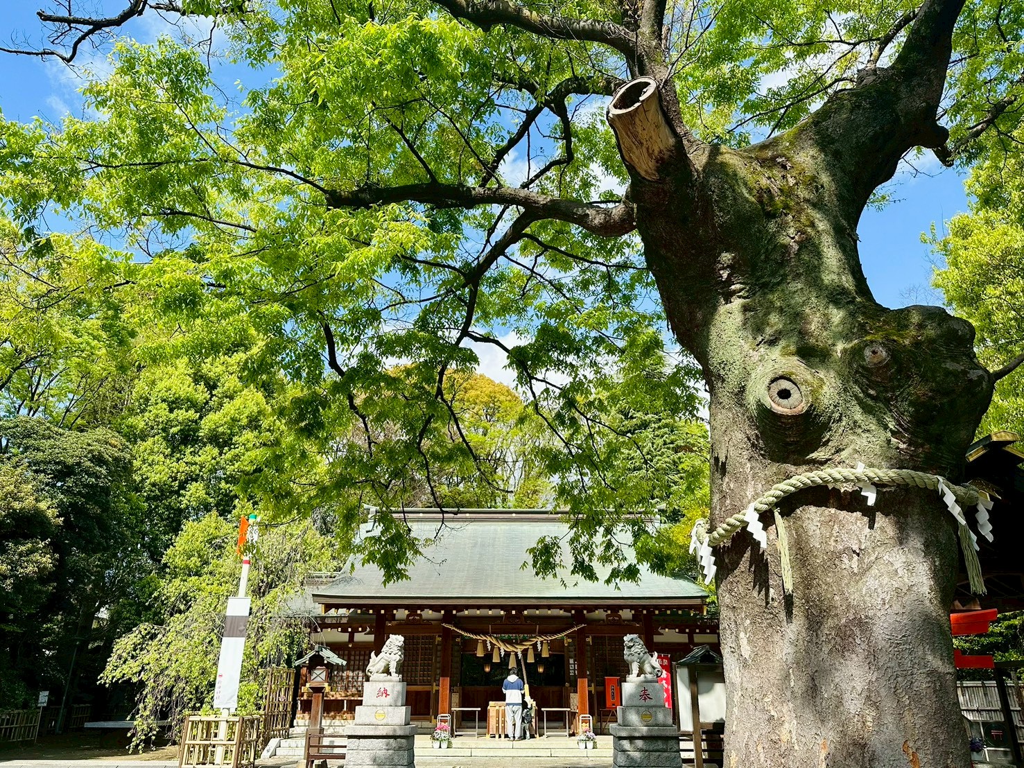 神社の風景 19